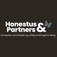 Honestus & Partners